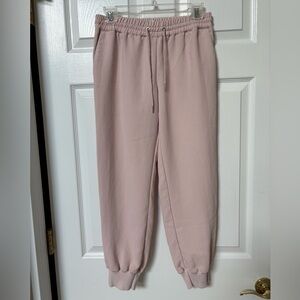 Wilfred Aritzia Crepe Jogger Pull-On Pants Blush Pink Women’s Sz Small